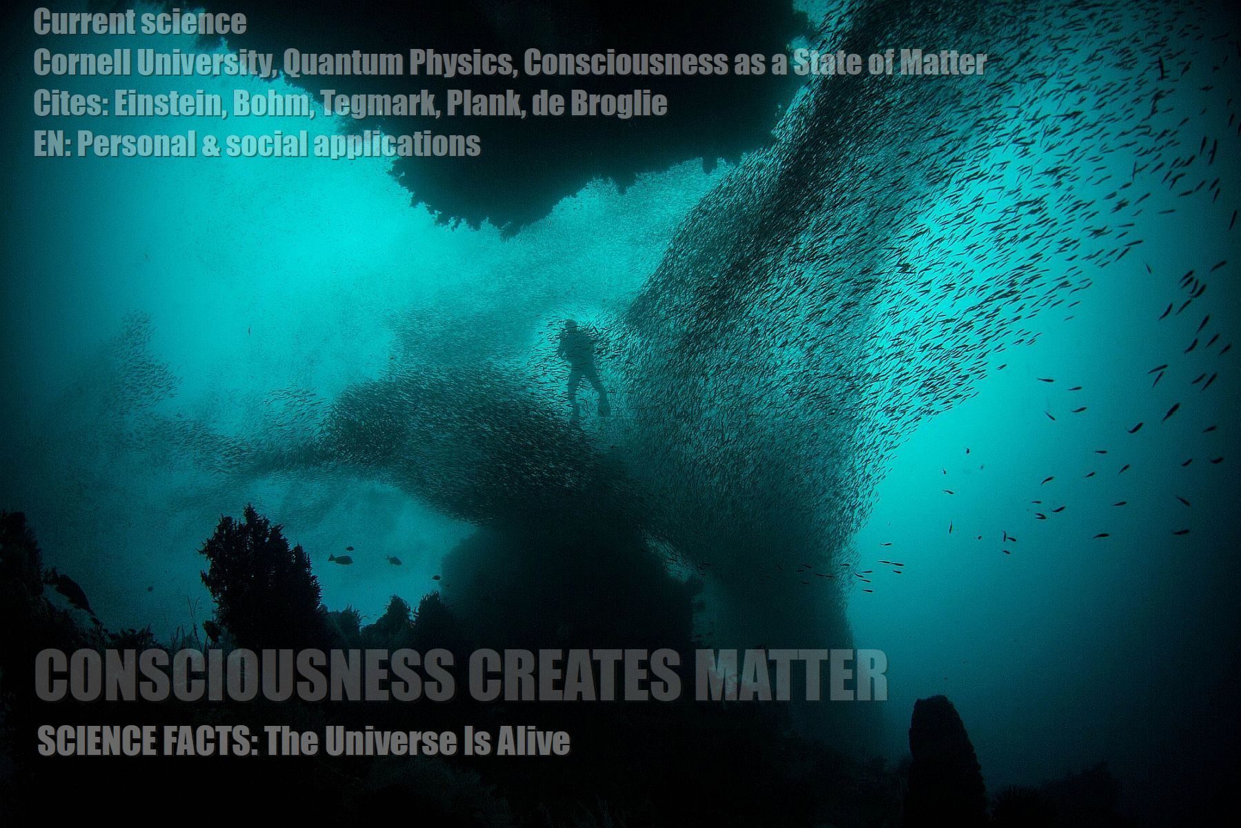 CONSCIOUSNESS CREATES REALITY: Thoughts Create Matter