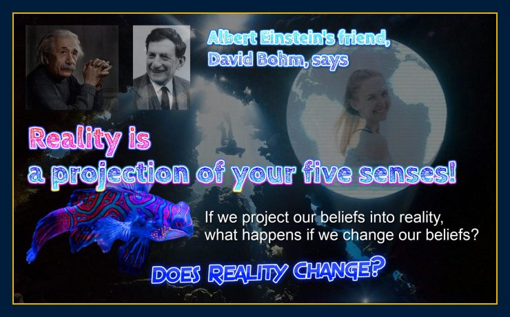 Holographic reality is supported by David Bohm
